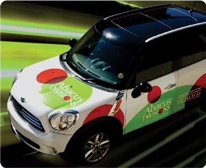 Car Branding