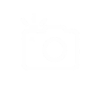 Photography